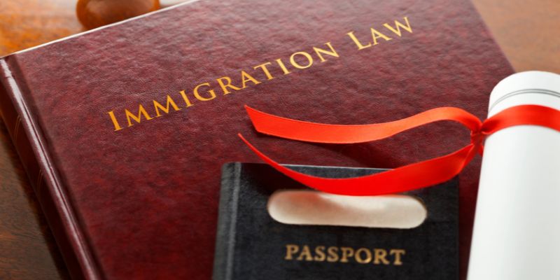 Immigration Law book