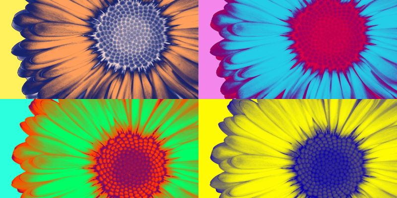 pop art