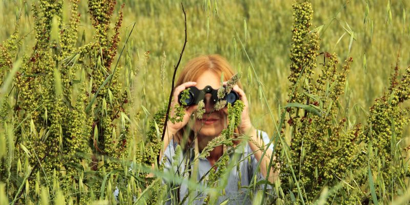 A woman in the bushes looking through binoculars